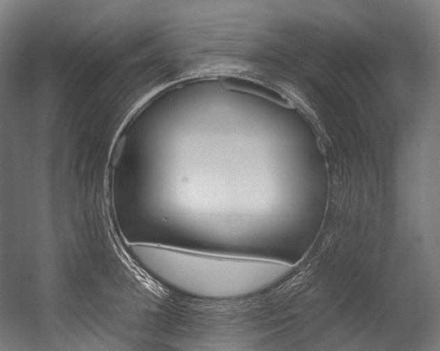 X0000054430948200507290948
