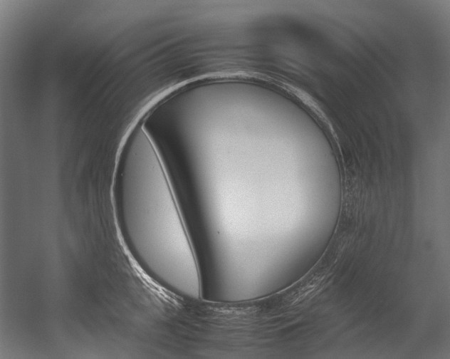 X0000054430951200507290948