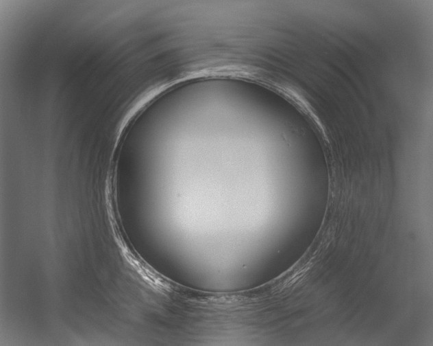 X0000054430952200507290948