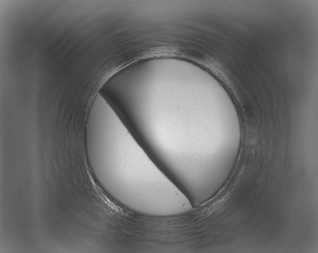 X0000054430953200507290948