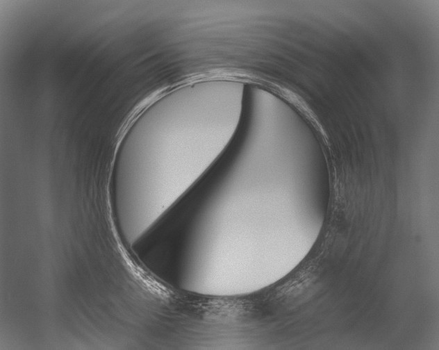 X0000054430954200507290948