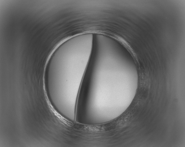 X0000054430955200507290948