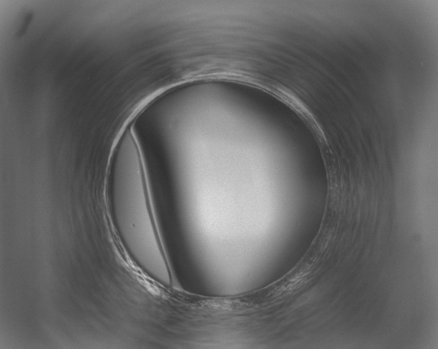 X0000054430956200507290948