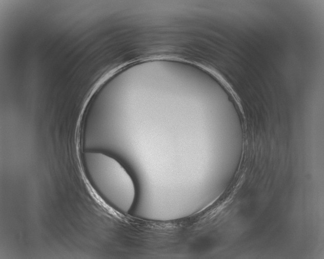 X0000054430957200507290948