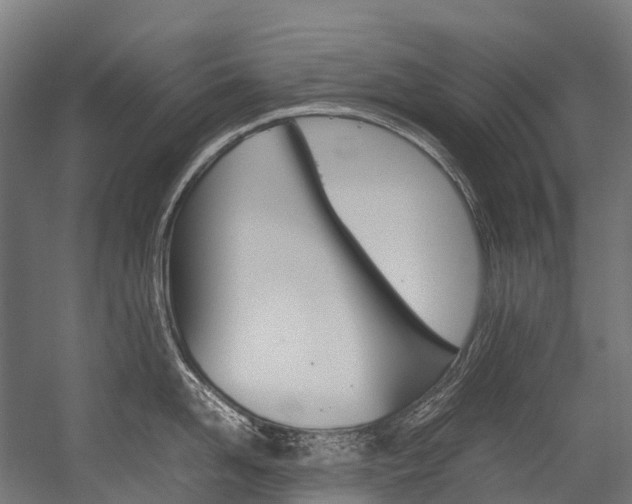 X0000054430958200507290948