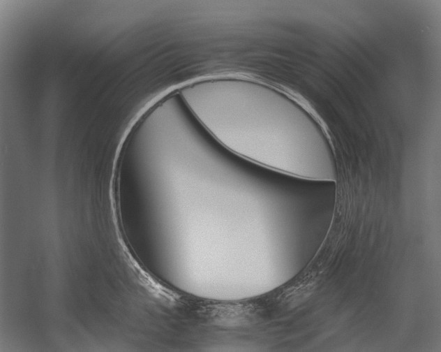 X0000054430959200507290948