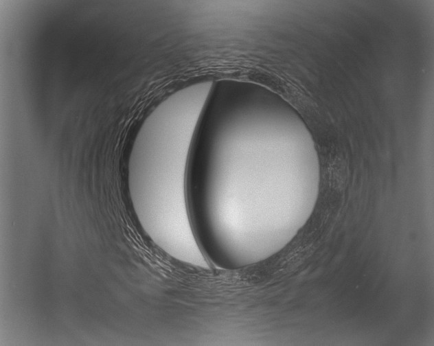 X0000054430961200507290948