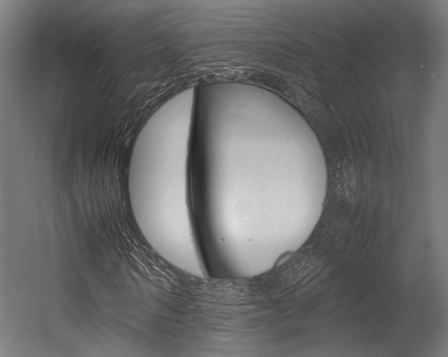 X0000054430962200507290948