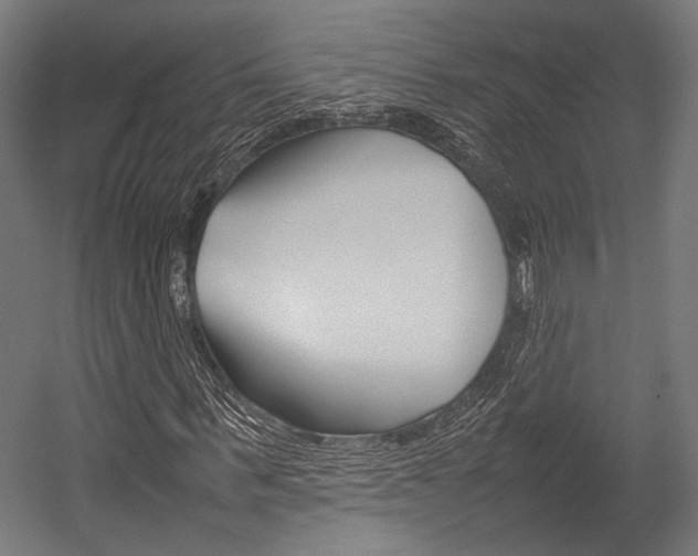 X0000054430963200507290948