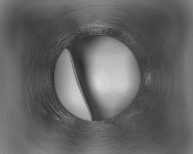 X0000054430964200507290948