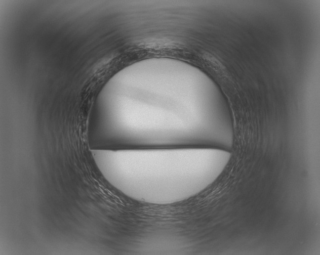 X0000054430966200507290948