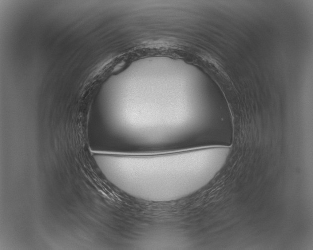 X0000054430968200507290948