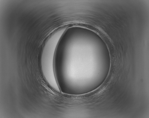 X0000054430969200507290947