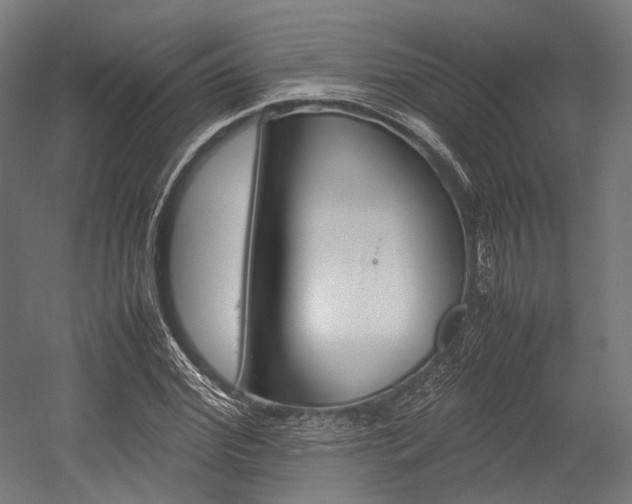 X0000054430972200507290947