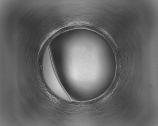 X0000054430973200507290947