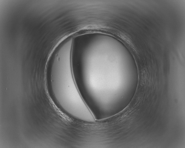 X0000054430976200507290947