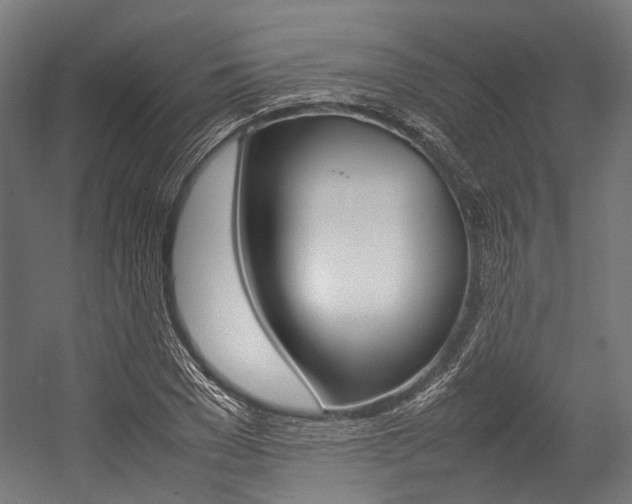 X0000054430977200507290947