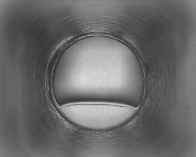 X0000054430979200507290947