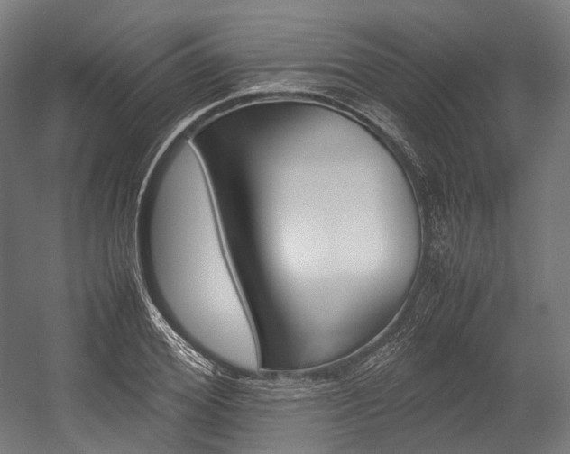 X0000054430980200507290947