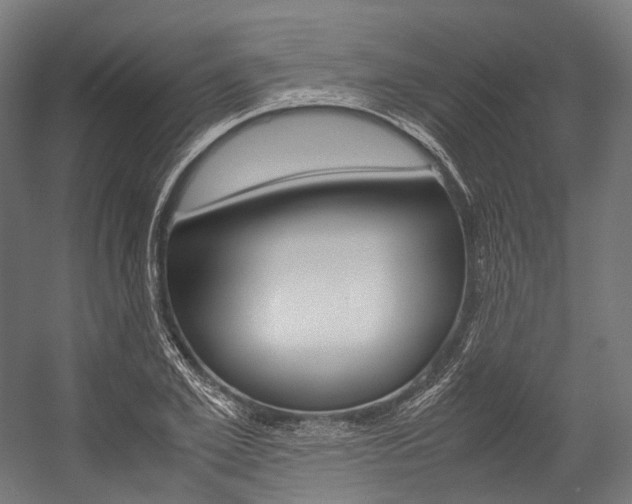 X0000054430981200507290947