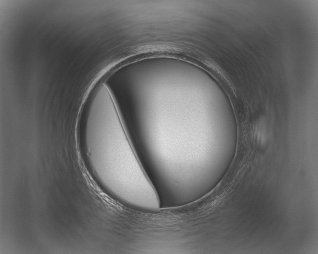 X0000054430983200507290947