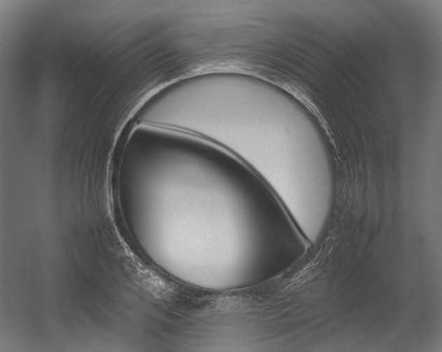 X0000054430984200507290947