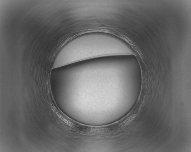 X0000054430985200507290947