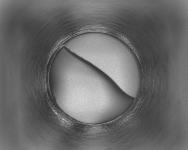 X0000054430986200507290947
