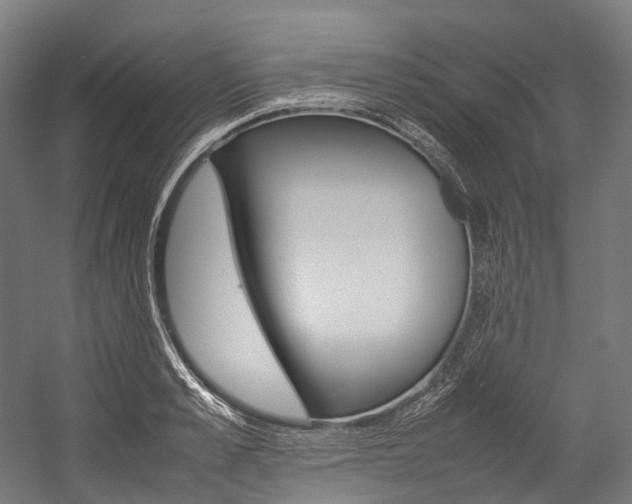 X0000054430989200507290947