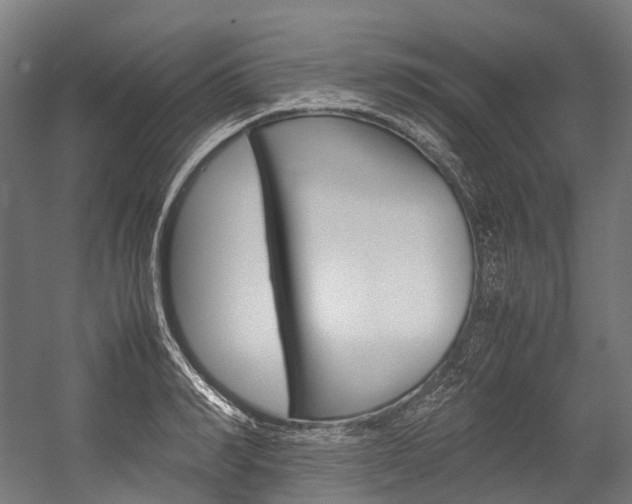 X0000054430990200507290947