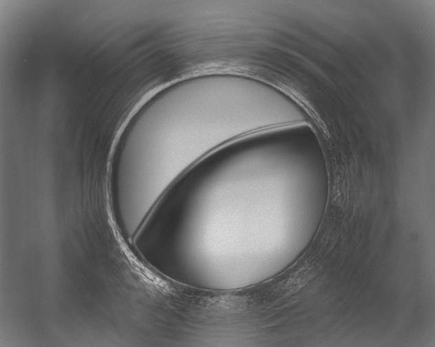X0000054430992200507290947