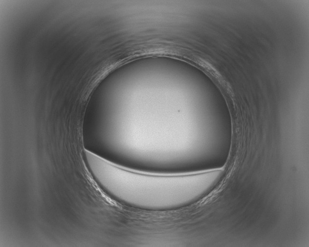 X0000054430993200507290947