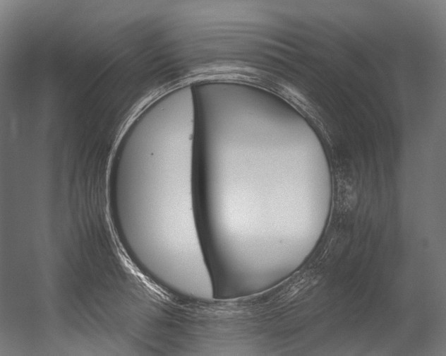 X0000054430994200507290947