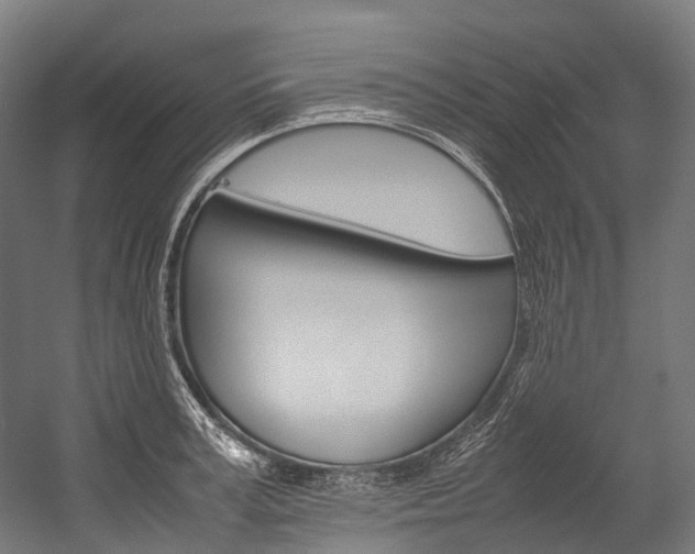 X0000054430995200507290947