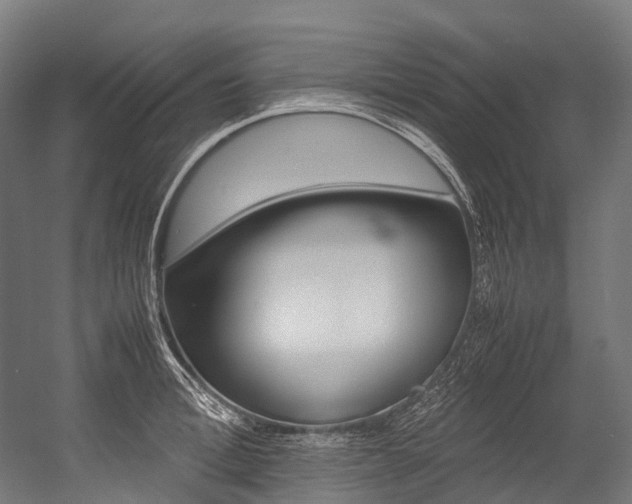 X0000054430996200507290947