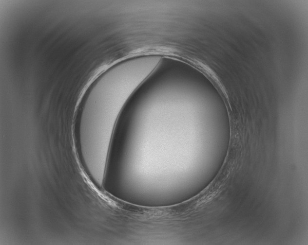 X0000054430997200507290947