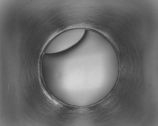 X0000054430998200507290947