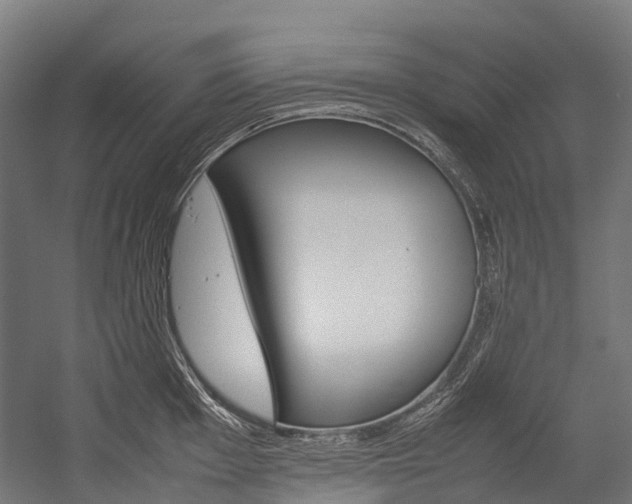 X0000054431001200507290947