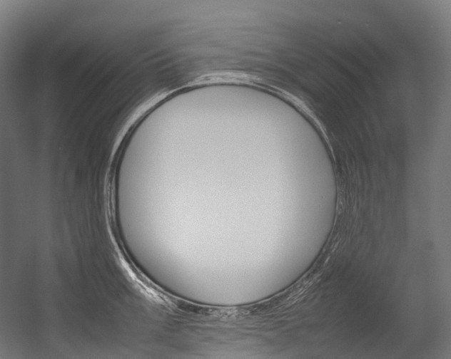 X0000054431003200507290947