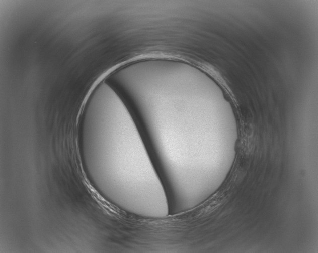 X0000054431004200507290947
