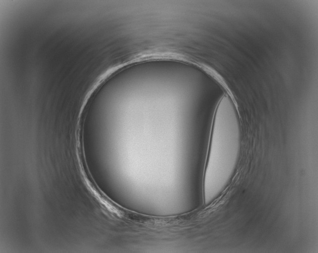 X0000054431005200507290947