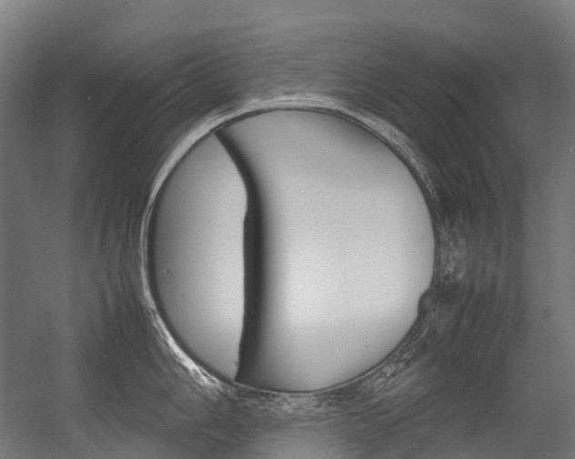 X0000054431006200507290947