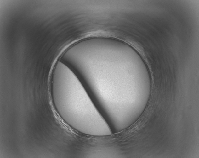 X0000054431008200507290947