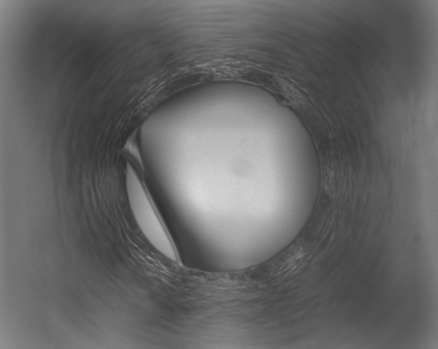 X0000054431010200507290946