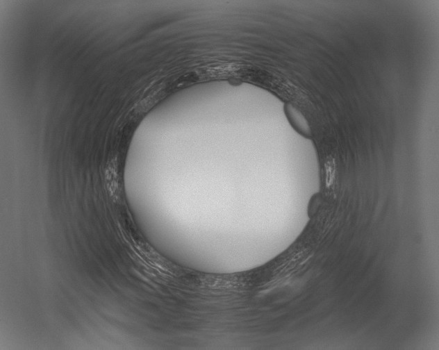 X0000054431011200507290946