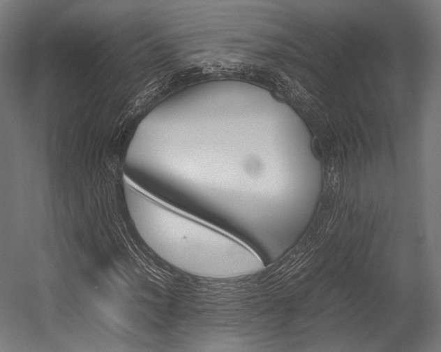 X0000054431012200507290946