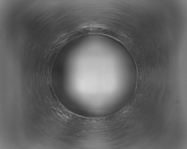 X0000054431014200507290946