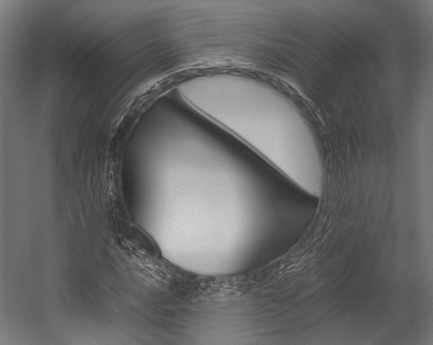 X0000054431016200507290946