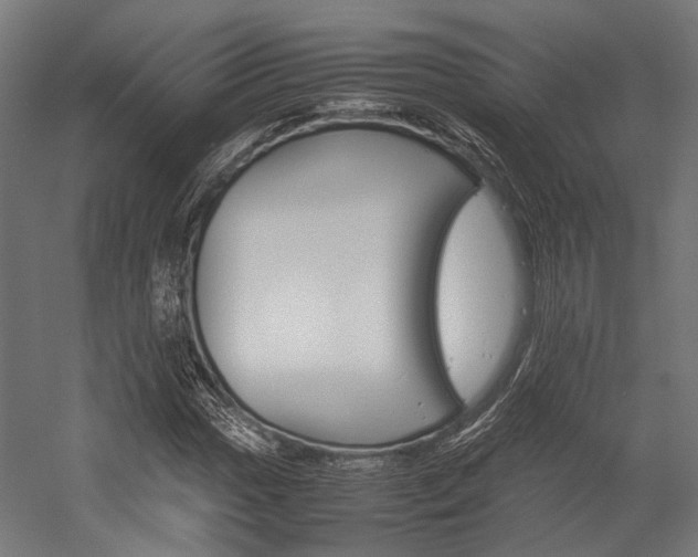 X0000054431017200507290946