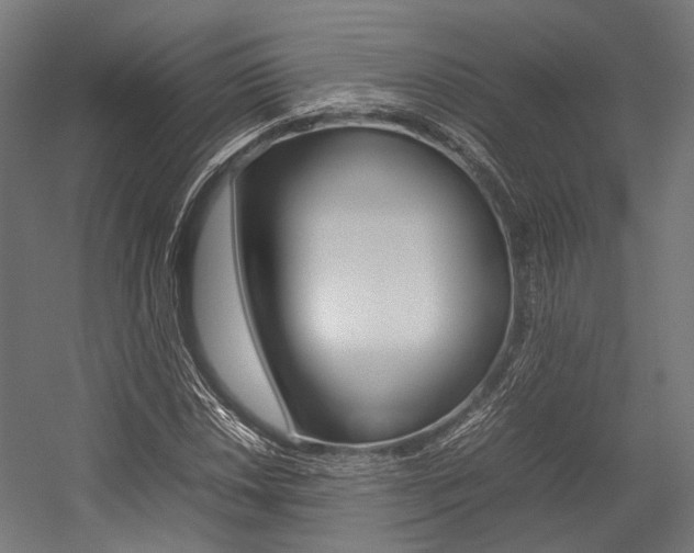 X0000054431018200507290946